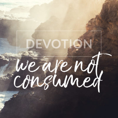 We Are Not Consumed