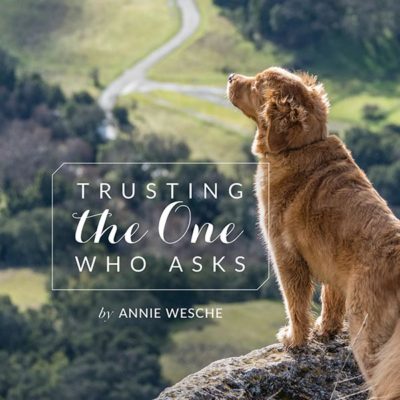 Trusting the One Who Asks